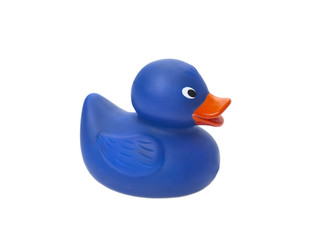 Blue rubber duck isolated on white background