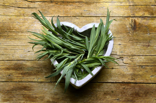 Silene vulgaris Bladder campion Sclopit 白玉草 Смолёвка