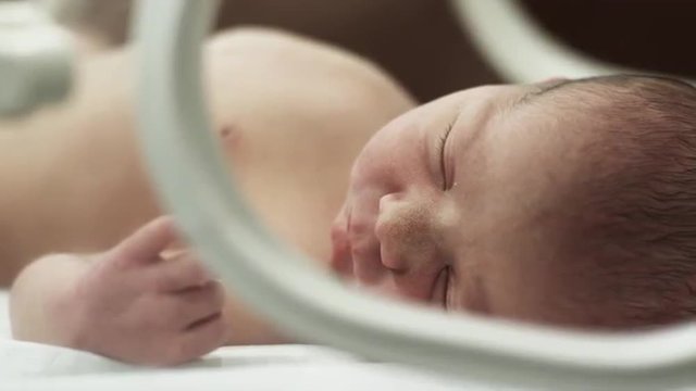 CU PAN Newborn baby (0-1 months) sleeping in NICU / Payson, Utah, USA