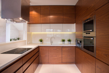 Wooden kitchen cabinet