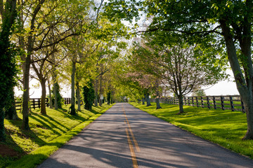 Country road