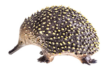 Obraz premium Echidna figurine