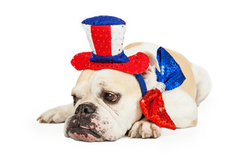 Tired American Patriotic Bulldog