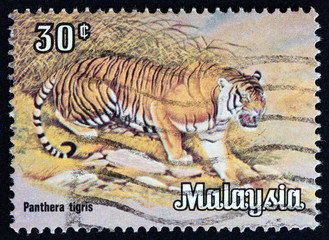 Naklejka premium Tiger (Malaysia 1979)