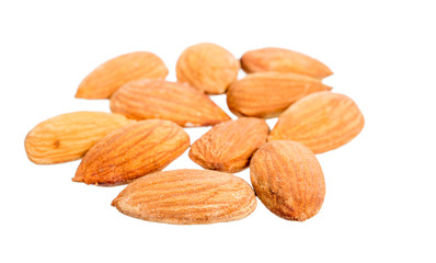 almond seed