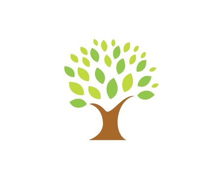 tree leaf logo 1