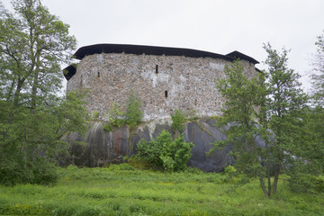 У замка Расеборг пасмурным летним днем. Финляндия