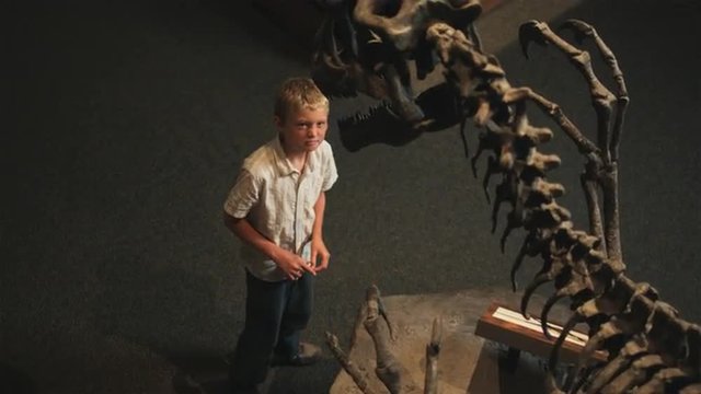 MS HA Boy (10-11) Looking At Dinosaur's Skeleton In Natural History Museum, Lehi, Utah, USA