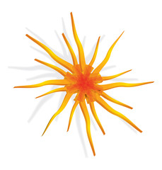 Artistic orange sun illustration