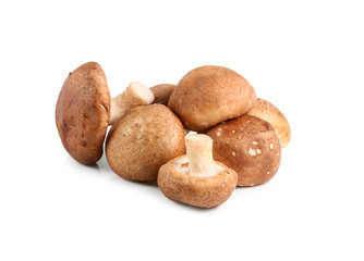 Fototapeta na wymiar Shiitake mushrooms on white background
