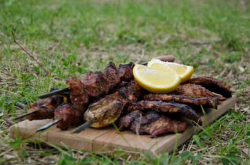 Baked meat on green meadow