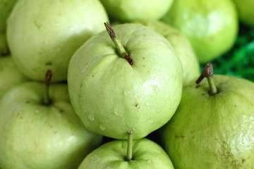 Guava fruit in the market