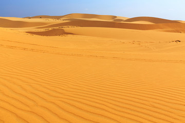 Fototapeta na wymiar white sand dune