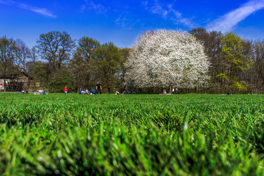 Fr&uuml;hling