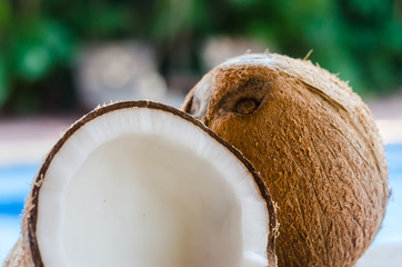 Coconuts