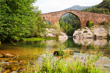 Fototapeta na wymiar Medieval arched bridge over Llobregat river in Pyrenees