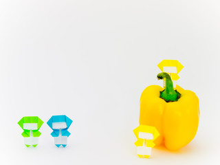 Origami Ninja with Vegetables and Fruits
