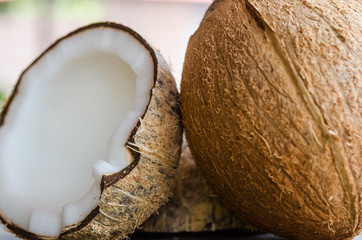 Coconuts