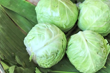 Fototapeta premium Fresh cabbage in the market.