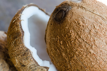 Coconuts