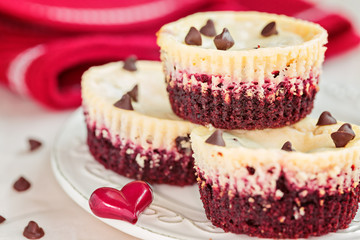 Irresistible red velvet mini cheesecakes