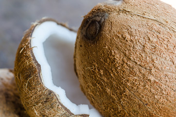 Coconuts