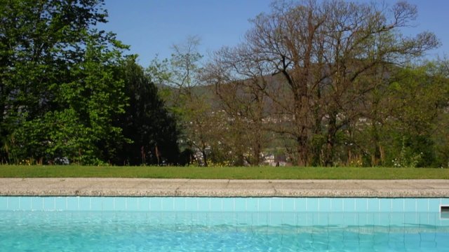 View of pool and garden