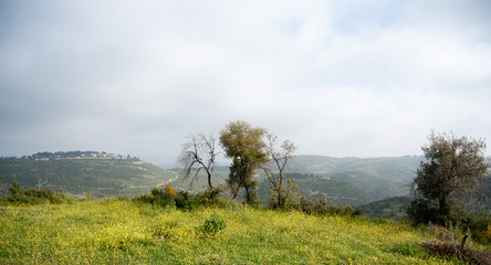 Fototapeta premium Spring season landscape