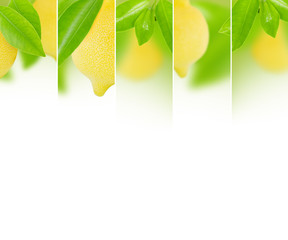Lemon mix