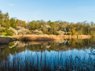 Mühlenteich in Rostock