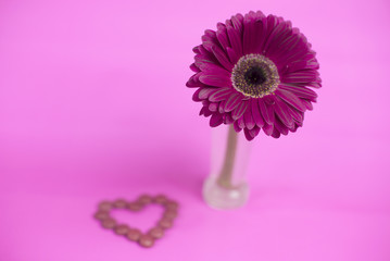 Gerbera flower with a heart of candies