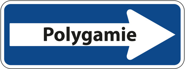 Einbahnstraße - Schild