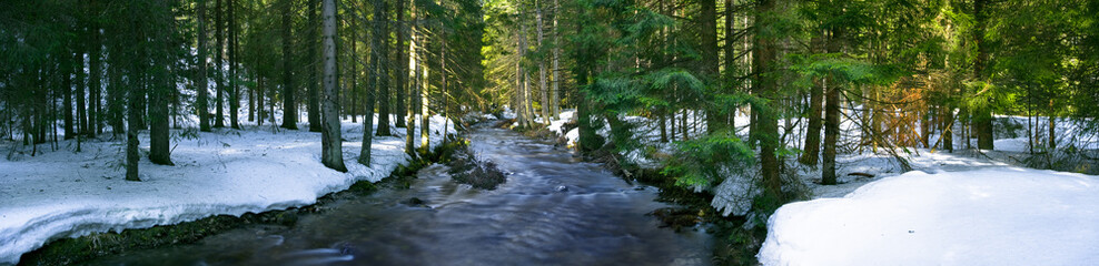 Panoramic view of the mountain river in the middle of the forest