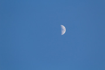 moon in the afternoon