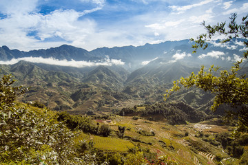 Naklejka premium Living