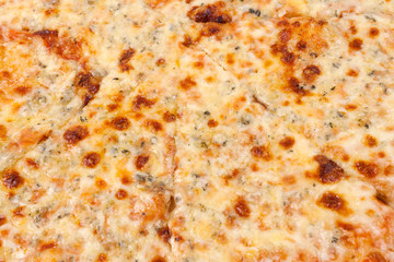Cheese pizza background