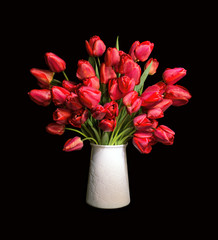 Bouquet of red tulips in white vase