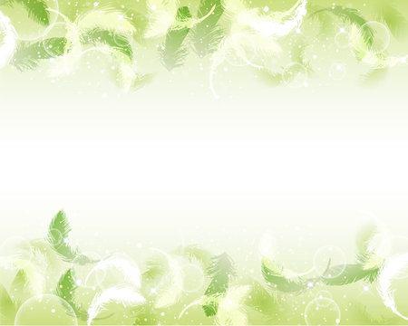 feather background