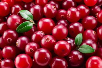 Cranberry with leaves macro. Background.