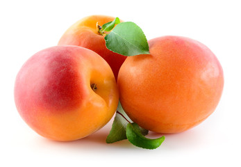 Three Apricots isolated on white background