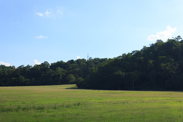 Lawn and mountains