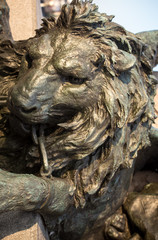 lion statue venice