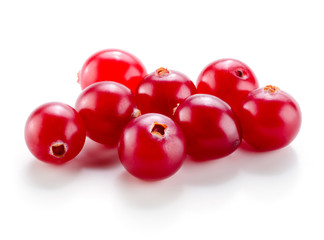 Cranberry isolated on white background.