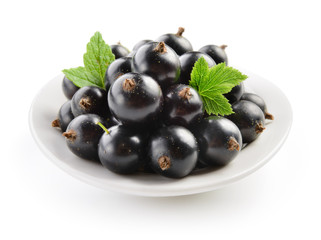 Black currant isolated
