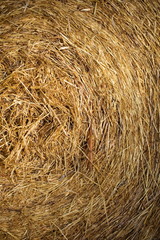 straw bale in the field, texture