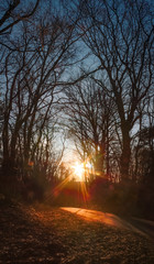 Obraz premium Brandenburg Sunset