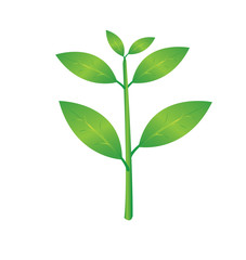 Set of green leaves design elements