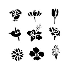 Silhouette floral(Rose,Lotus,Carnation,daisy,Orchid,tulip)