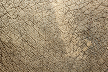 Elephant skin texture background