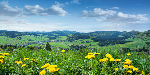 Schöne Wiese mit gelben Blumen und Blick ins Tal